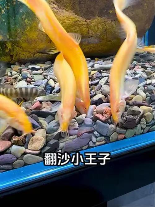微信图片_202508091622432.jpg