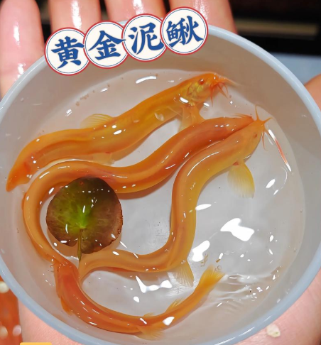微信图片_20250809161134.png