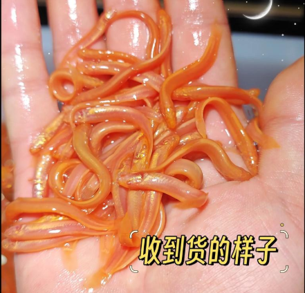 微信图片_202508091611341.png