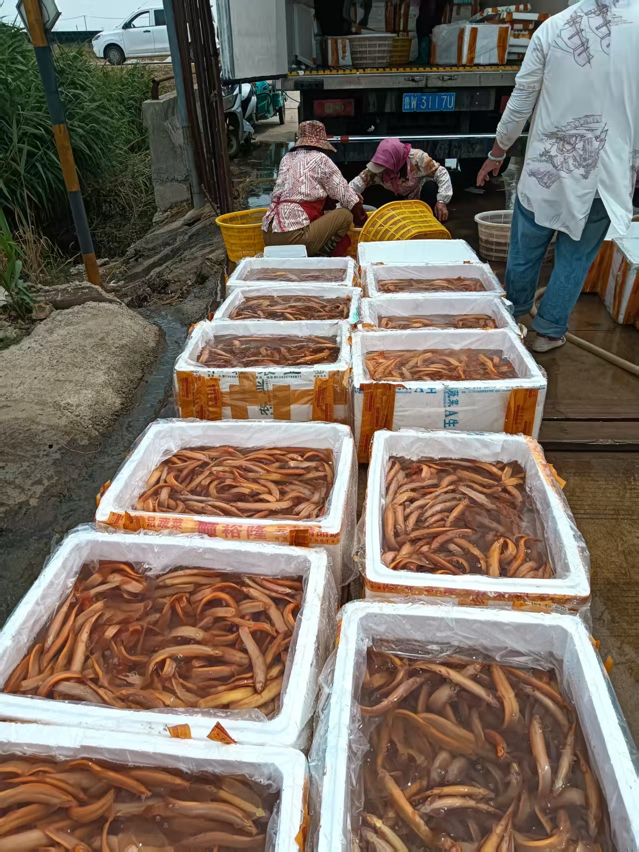 微信图片_202508091622381.jpg